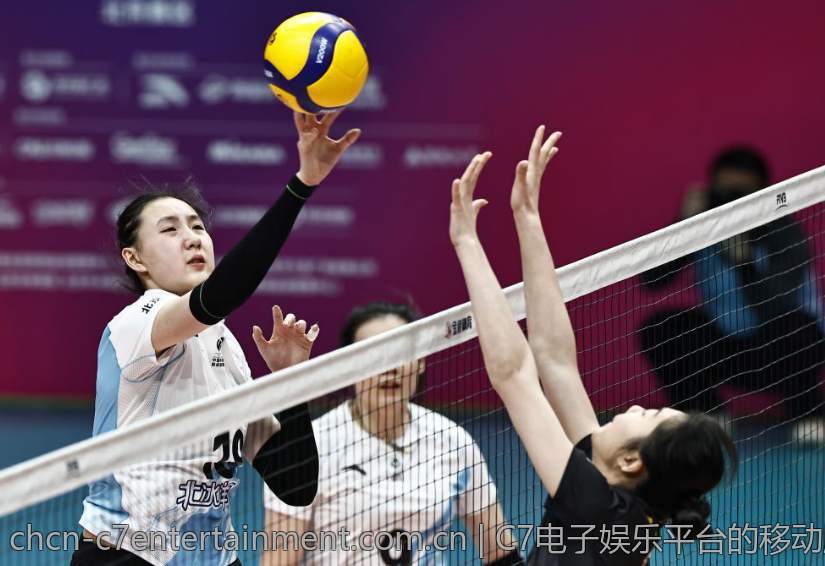 C7电子娱乐平台的移动版体验评测